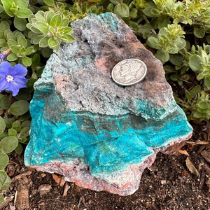 Chrysocolla Rough | Large Chrysocolla | Red Jasper | Raw Freeform | Chrysocolla and Goethite
