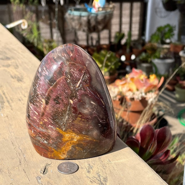 Petrified Wood Sculpture Etsy