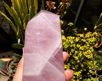 Rose Quartz Freeform Point, Freestanding Rose Quartz Sculpture | Rose Quartz Tower | Polished Rose Quartz
