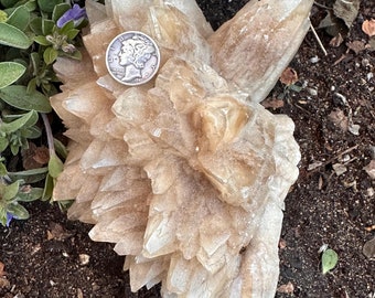 Dogtooth Calcite Cluster | Freeform | Calcite | Calcite Freeform