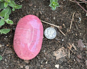 Pink Petrified Wood Palm Stone | Mineralized Wood Palm Stone | Petrified Wood Australia | Polished Pink Petrified Wood | New to the Shop
