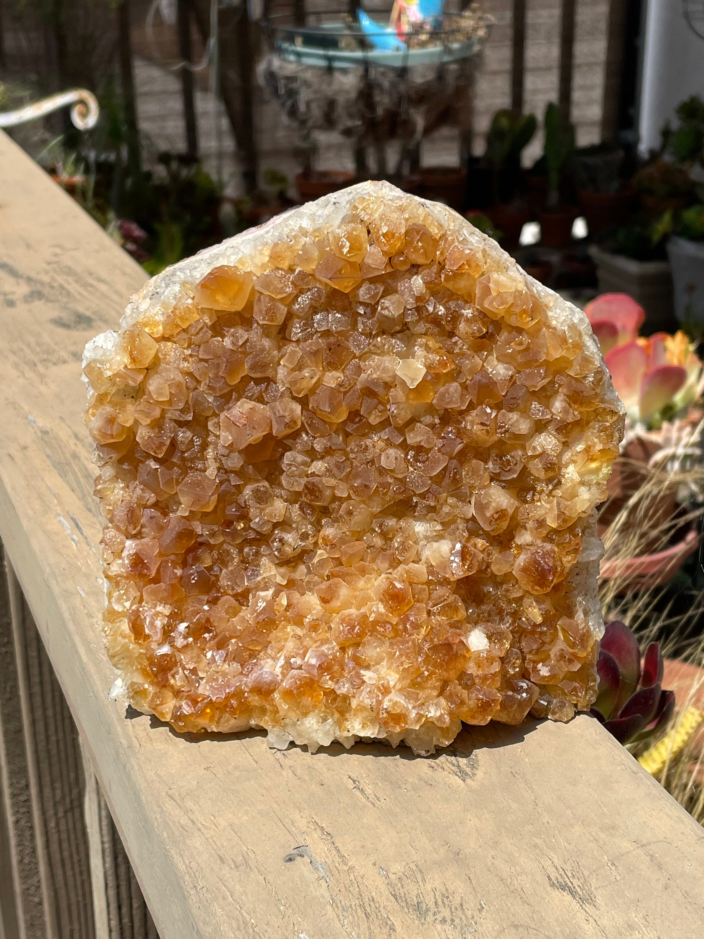 Forme Brute Sans Citrine,