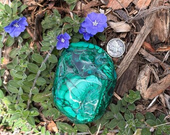 Malachite Freeform Polished | Chrysocolla | Polished Free Form | Polished Malachite