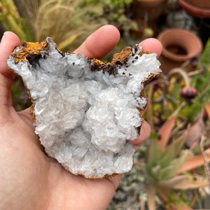 Bladed Calcite, Free From