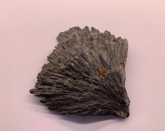 Large Black Kyanite Free Form, Raw