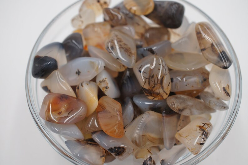 Montana Moss Agate Tumbled Stone | Etsy