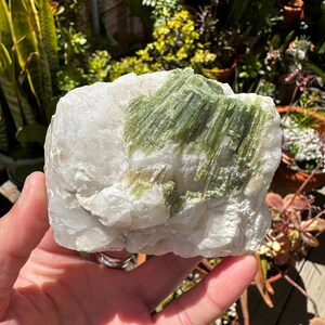 Green Tourmaline Specimen | Green Tourmaline on Matrix | Free Form | Raw | Tourmaline | Quartz
