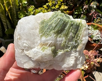 Green Tourmaline Specimen | Green Tourmaline on Matrix | Free Form | Raw | Tourmaline | Quartz