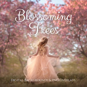 JD Blossoming Tree Digital Backgrounds