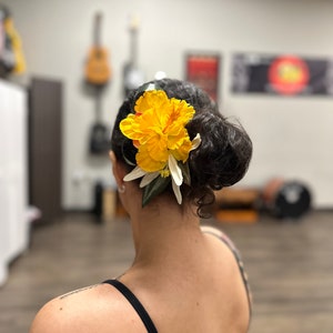 Hibiscus and Plumeria Flower Hula Hair Piece for Hawaiian Hula Dancer,Casual,Wedding,Parties, Accessories