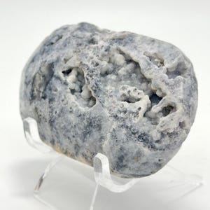May include: A rough, oval-shaped mineral specimen featuring a mottled grey and white exterior with deep, textured cavities filled with small, crystalline white formations. The stone is displayed on a clear, transparent acrylic stand.