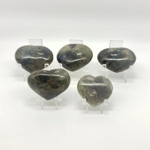 May include: Five heart-shaped labradorite stones with smooth, polished surfaces. Each stone displays a dark grey base color with iridescent blue and gold flashes. The stones are arranged in a group and are each supported by a clear plastic stand.