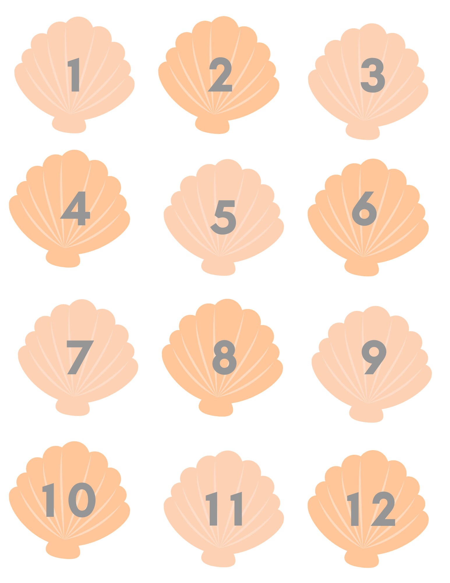 Sea Shell Counting Printable/homeschool/preschool Learning Etsy