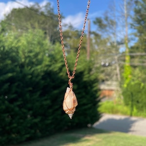 Wire wrapped shell necklace