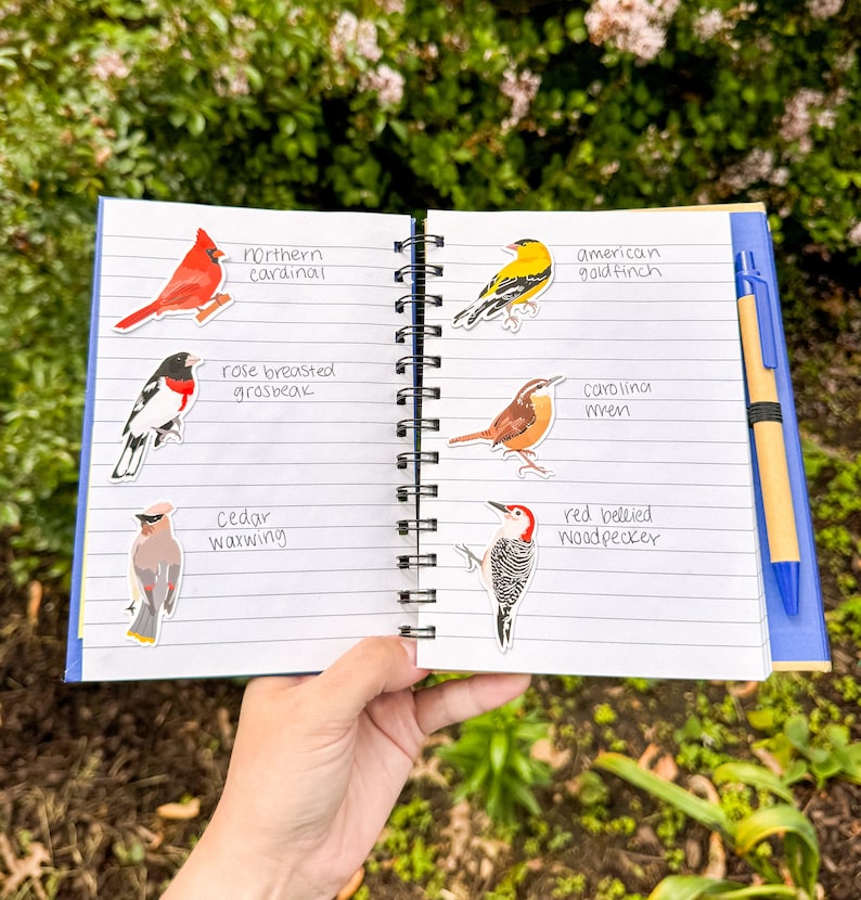 May include: Open notebook with bird stickers and handwritten labels. Includes a Northern Cardinal, American Goldfinch, Rose-breasted Grosbeak, Carolina Wren, Cedar Waxwing, and Red-bellied Woodpecker. A blue pen rests on the right side.