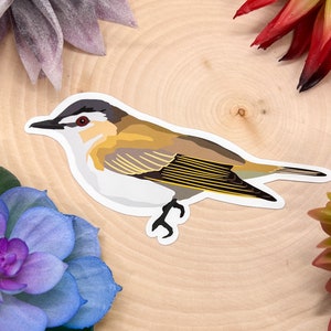 Red Eyed Vireo Sticker, Red Eyed Vireo Decal, Red Eyed Vireo Gift, Red Eyed Vireo Decor, Red Eyed Vireo Bird, Red Eyed Vireo