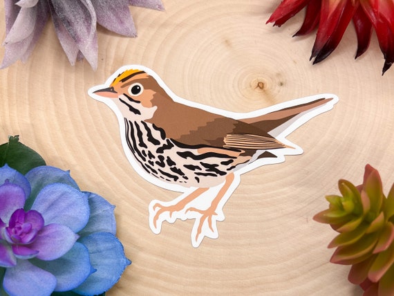 Ovenbird Sticker, Ovenbird Decal, Ovenbird Gift, Ovenbird Decor, Ovenbird Bird, Ovenbird Lover, Ovenbird, Birdwatching sticker, Ovenbird
