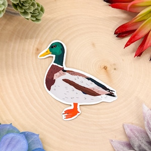 Mallard Sticker, Bird Sticker, Birdwatching Sticker, Birding Sticker, Mallard Decal, Mallard Sticker, Mallard Gift, Mallard Decor, Mallard