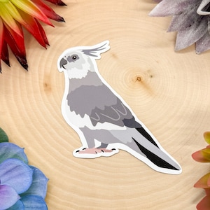 Cockatiel Sticker, Bird Sticker, Birdwatching Sticker, Birding Sticker, Cockatiel Decal, Cockatiel Decor, Cockatiel Gift, Cockatiel Pet