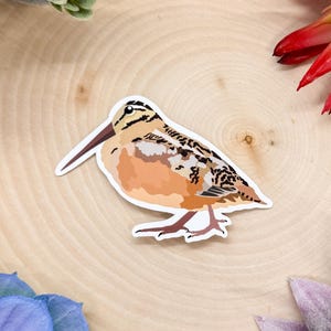 American Woodcock Sticker, Bird Sticker, Birdwatching Sticker, Birding Sticker, American Woodcock Decal, Woodcock Sticker, Woodcock Bird