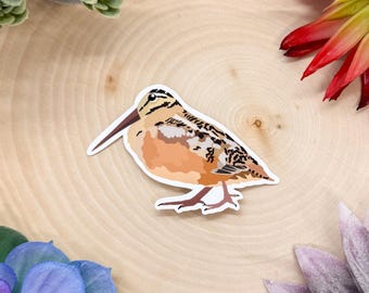 American Woodcock Sticker, Bird Sticker, Birdwatching Sticker, Birding Sticker, American Woodcock Decal, Woodcock Sticker, Woodcock Bird