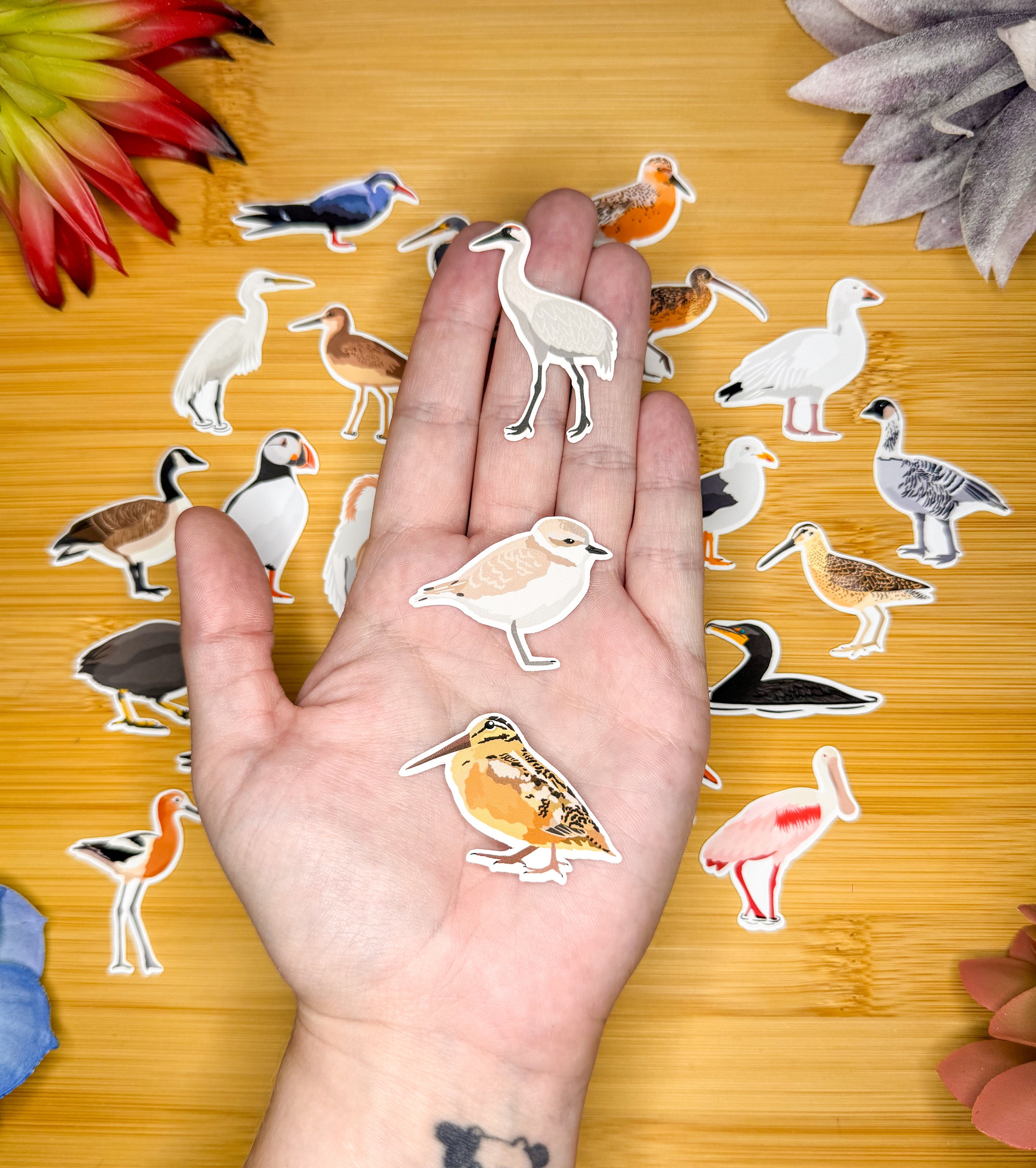 8pcs Red Cardinal Bird UV DTF Cup Stickers - Waterproof Glossy Transfers For Mugs & DIY