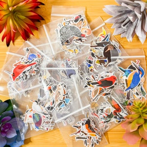 Custom Birds Sticker Pack, Mini Bird Sticker Pack, Bird Journal Stickers, Bird Sticker Pack, Bird Journal, Lifer, Birdwatching Stickers