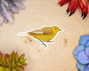 Willow Warbler Sticker, Willow Warbler Decal, Warbler Gift, Warbler Bird Decor, Warbler Bird Sticker, Warbler Bird Decal, Warbler Bird Decor