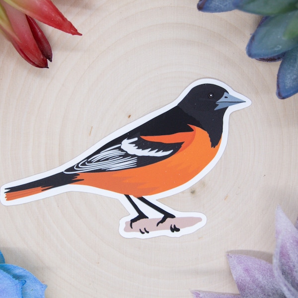 Baltimore Oriole Sticker, Bird Sticker, Birdwatching Sticker, Birding Sticker, Baltimore Oriole Decal, Oriole Decal, Oriole Bird Sticker,