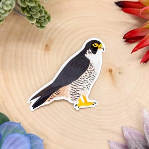 Wanderfalke Aufkleber, Vogelaufkleber, Vogelaufkleber, Vogelaufkleber, Wanderfalke Aufkleber, Wanderfalke Geschenk, Falke