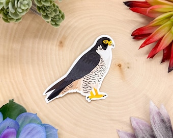 Peregrine Falcon Sticker, Bird Sticker, Birdwatching Sticker, Birding Sticker, Peregrine Falcon Decal, Peregrine Falcon Gift, Falcon