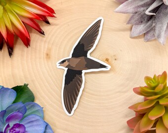 Chimney Swift Sticker, Chimney Swift Decal, Chimney Swift Gift, Swift Bird Sticker, Swift Bird Decal, Chimney Swift Lover