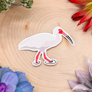 White Ibis Sticker, White Ibis Decal, White Ibis Gift, White Ibis Decor, White Ibis, Bird Sticker, Birdwatching Sticker, Birding Sticker,