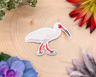 May include: White ibis sticker with red legs and beak, standing on a wooden surface.