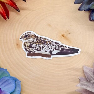 May include: A sticker featuring a detailed illustration of a nightjar bird. The bird has brown, white, and black markings, with a dark brown tail. The sticker is on a white background with a brown base. The sticker is surrounded by decorative flowers.