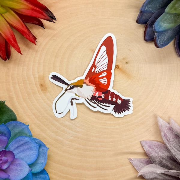 Hummingbird Clearwing Sticker, Butterfly Sticker, Insect Sticker, Insect Decal, Entomology Sticker, Bug Sticker, Moth Sticker, Bug Lover