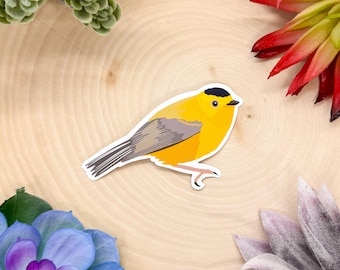 Wilson's Warbler Sticker, Wilson's Warbler Decal, Warbler Sticker, Warbler Decal, Bird Sticker, Birdwatching Sticker, Birding Sticker,