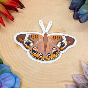 Op de afbeelding: Een vlindersticker met een witte rand, met bruine, oranje en witte details. De vlinder heeft een symmetrisch ontwerp met oogachtige markeringen op zijn vleugels. De sticker is geplaatst op een licht houten oppervlak, met kleurrijke bloemaccenten.