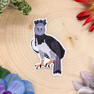 Harpy Eagle Sticker, Harpy Eagle Decal, Harpy Eagle Decor, Harpy Eagle Gift, Harpy Eagle Bird, Harpy Eagle Stickers, Harpy Eagle