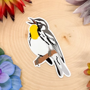 Yellow Throated Warbler Sticker, Yellow Throated Warbler Decal, Warbler Gift, Warbler Decor, Yellow Throated Warbler