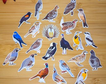 Pack d'autocollants Oiseaux des prairies, Mini pack d'autocollants Oiseaux, Autocollants pour carnet d'oiseaux, Pack d'autocollants Oiseaux, Carnet d'oiseaux, Observation d'oiseaux, Autocollants d'ornithologie