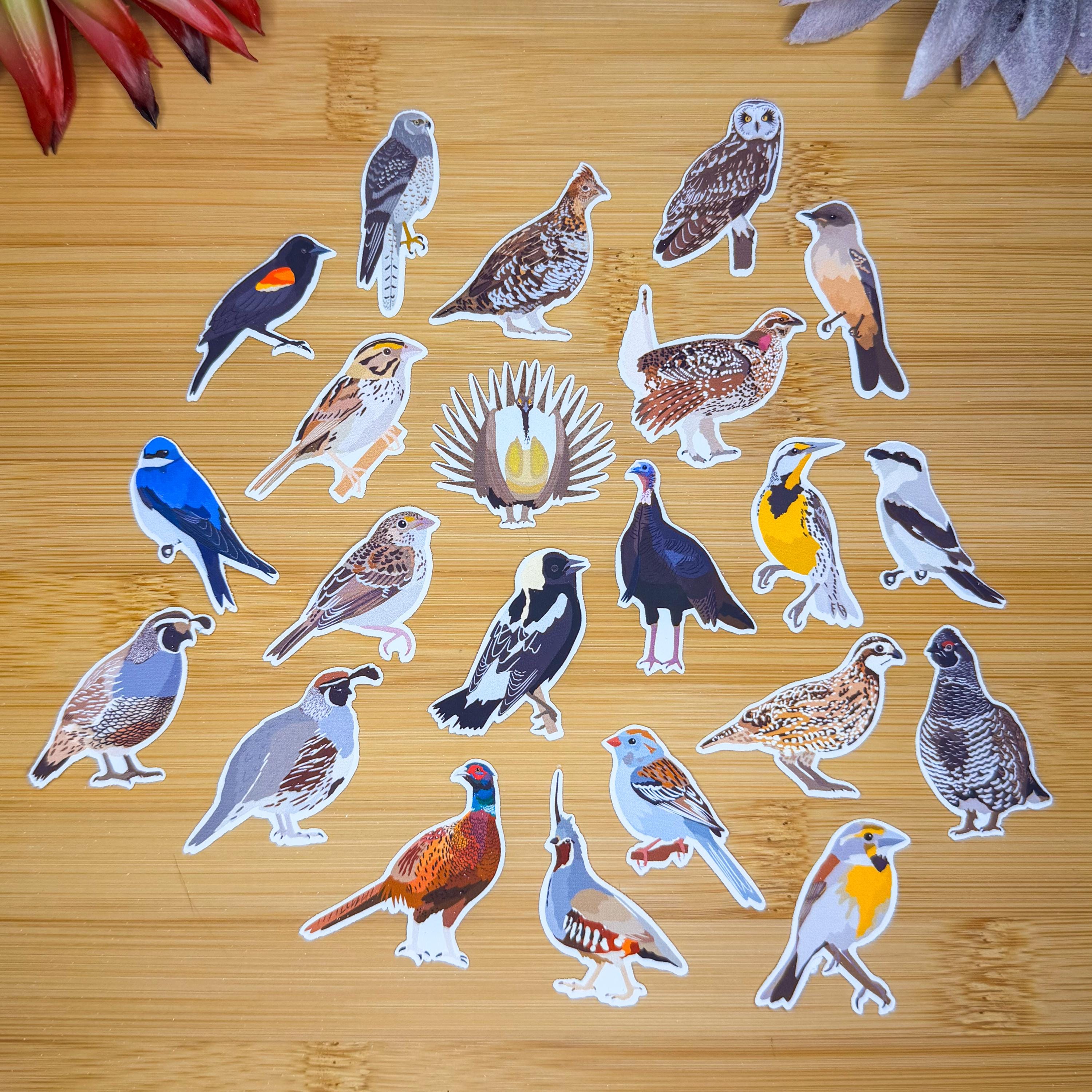 Grassland Birds Sticker Pack, Mini Bird Sticker Pack, Bird Journal ...