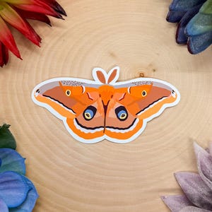 May include: A colorful sticker featuring a detailed illustration of a moth. The moth has orange, brown, and white wings with blue and yellow eye-like markings. The sticker is on a light wood surface, surrounded by colorful plants.