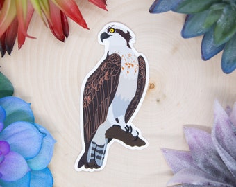 Osprey Sticker, Bird Sticker, Birdwatching Sticker, Birding Sticker, Osprey Decal, Osprey Gift, Osprey Art, Osprey Decor, Osprey