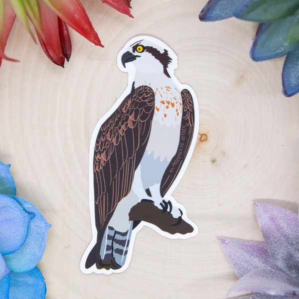 Osprey Sticker, Bird Sticker, Birdwatching Sticker, Birding Sticker, Osprey Decal, Osprey Gift, Osprey Art, Osprey Decor, Osprey