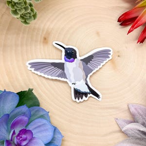 Black Chinned Hummingbird Sticker, Black Chinned Hummingbird Decal, Black Chinned Hummingbird Decor, Black Chinned Hummingbird Gift