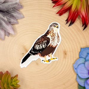 Rough Legged Hawk Sticker, Rough Legged Hawk Decal, Hawk Gift, Hawk Decor, Hawk Bird Sticker, Hawk Bird Decal,