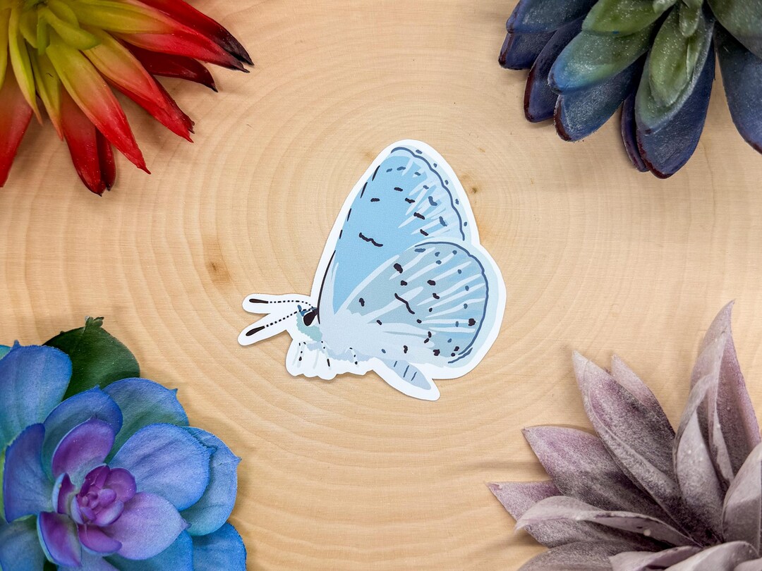 Summer Azure Sticker, Butterfly Sticker, Insect Sticker, Insect Decal ...