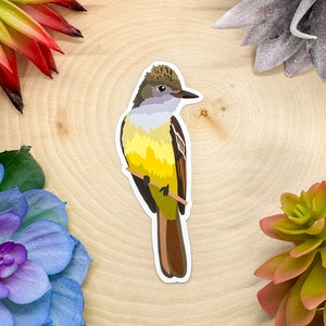 Great Crested Flycatcher Sticker, Flycatcher Sticker, Flycatcher Decal, Great Crested Bird Sticker, Birdwatching Sticker, Birding Sticker,