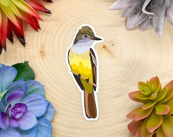 May include: A sticker of a yellow and brown bird with a gray head and a white chest. The bird is perched on a branch.